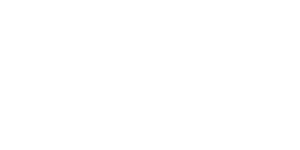 Zublin logo